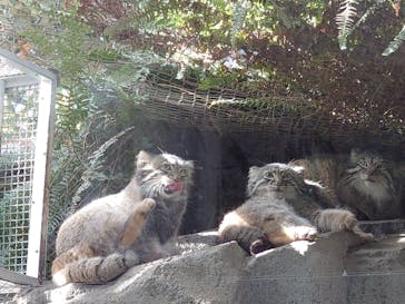 神戸どうぶつ王国に投稿された画像（2024/12/1）