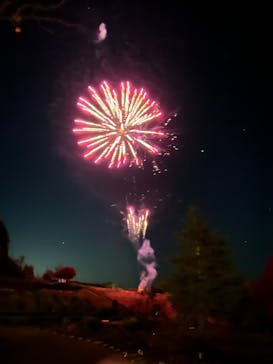 修善寺虹の郷に投稿された画像（2024/12/1）