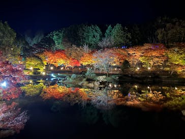 修善寺虹の郷に投稿された画像（2024/12/1）