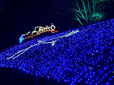 修善寺虹の郷に投稿された画像（2024/12/1）