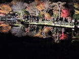 国営昭和記念公園 秋の夜散歩に投稿された画像（2024/12/1）