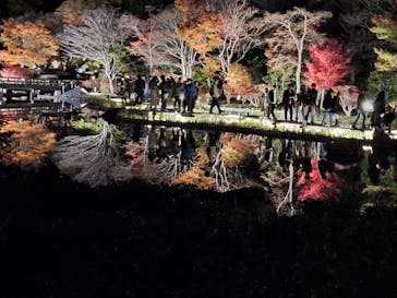 国営昭和記念公園 秋の夜散歩に投稿された画像（2024/12/1）