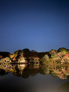 六義園に投稿された画像（2024/12/1）