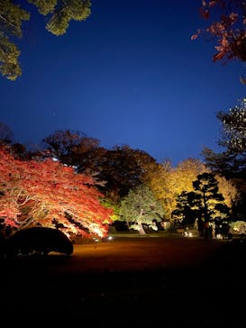 六義園に投稿された画像（2024/12/1）