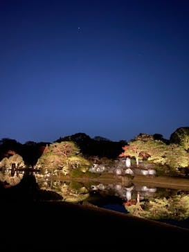 六義園に投稿された画像（2024/12/1）