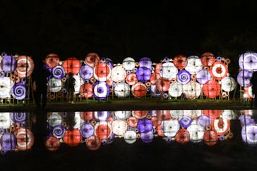 国営昭和記念公園 秋の夜散歩に投稿された画像（2024/12/1）