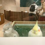 カワスイ 川崎⽔族館に投稿された画像（2024/12/1）