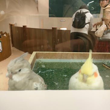 カワスイ 川崎⽔族館に投稿された画像（2024/12/1）