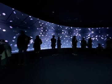 サンシャイン水族館に投稿された画像（2024/12/1）