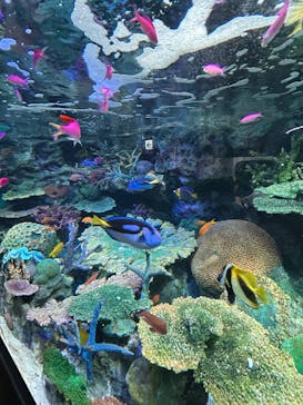 サンシャイン水族館に投稿された画像（2024/12/1）