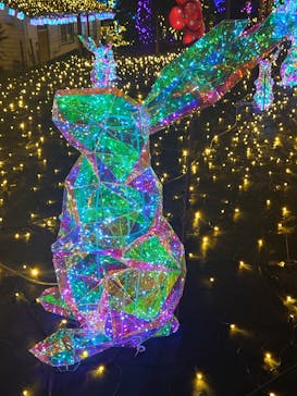 伊豆高原グランイルミに投稿された画像（2024/12/1）