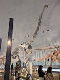福井県立恐竜博物館に投稿された画像（2024/12/1）