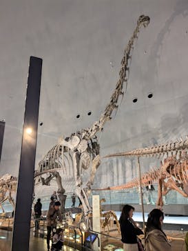 福井県立恐竜博物館に投稿された画像（2024/12/1）