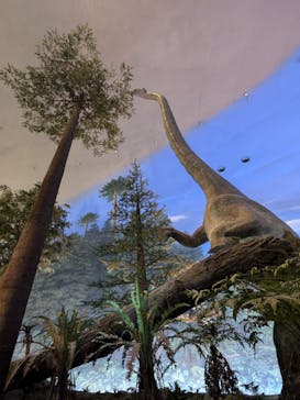 福井県立恐竜博物館に投稿された画像（2024/12/1）