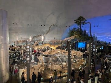 福井県立恐竜博物館に投稿された画像（2024/12/1）