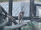 日立市かみね動物園に投稿された画像（2024/12/1）