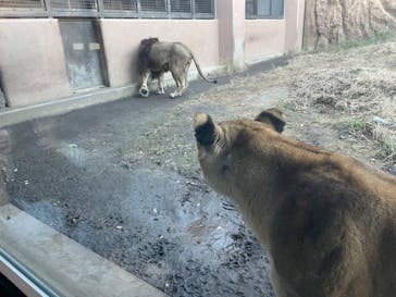 日立市かみね動物園に投稿された画像（2024/12/1）
