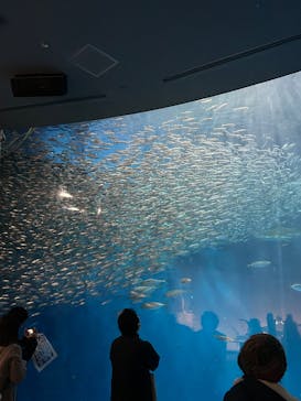 名古屋港水族館に投稿された画像（2024/12/1）