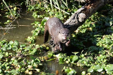 神戸どうぶつ王国に投稿された画像（2024/12/1）