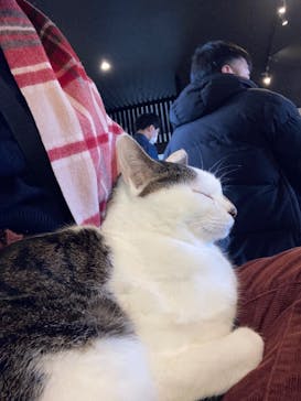 おさるランド＆アニタウン　日光さる軍団劇場に投稿された画像（2024/12/1）