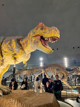 福井県立恐竜博物館に投稿された画像（2024/12/1）
