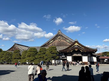 元離宮二条城に投稿された画像（2024/12/1）