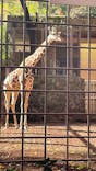 恩賜上野動物園に投稿された画像（2024/12/1）