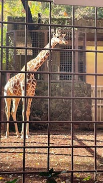 恩賜上野動物園に投稿された画像（2024/12/1）