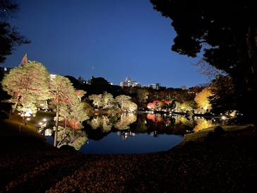 六義園に投稿された画像（2024/12/1）