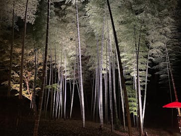 六義園に投稿された画像（2024/12/1）