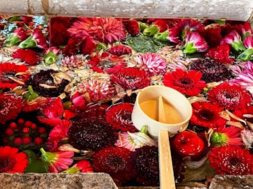 京阪電車に投稿された画像（2024/12/1）