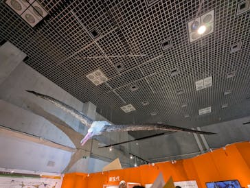 特別展「鳥 ～ゲノム解析が解き明かす新しい鳥類の系統～」国立科学博物館に投稿された画像（2024/12/1）