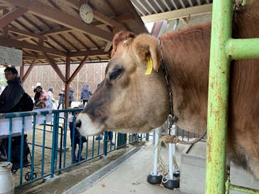 那須高原りんどう湖ファミリー牧場に投稿された画像（2024/12/1）