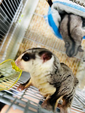 いきもの探検隊上尾に投稿された画像（2024/12/1）