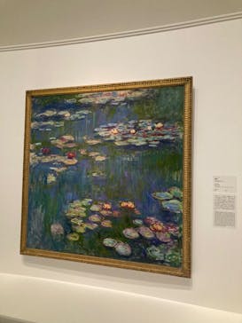 モネ 睡蓮のとき（国立西洋美術館）に投稿された画像（2024/12/1）
