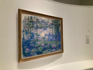 モネ 睡蓮のとき（国立西洋美術館）に投稿された画像（2024/12/1）