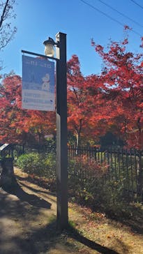 ムーミンバレーパークに投稿された画像（2024/12/1）