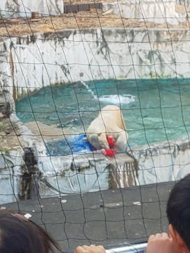 名古屋市東山動植物園に投稿された画像（2024/12/1）