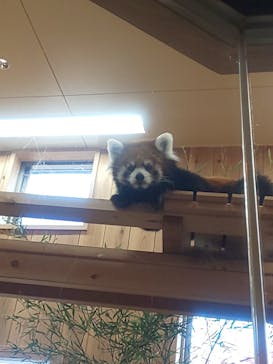 名古屋市東山動植物園に投稿された画像（2024/12/1）