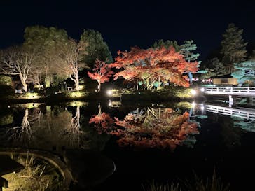 国営昭和記念公園 秋の夜散歩に投稿された画像（2024/12/1）