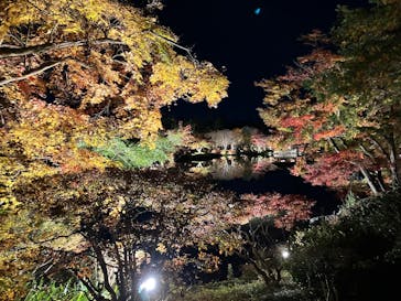 国営昭和記念公園 秋の夜散歩に投稿された画像（2024/12/1）