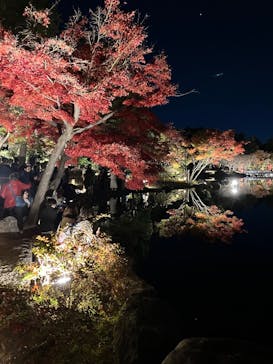 国営昭和記念公園 秋の夜散歩に投稿された画像（2024/12/1）