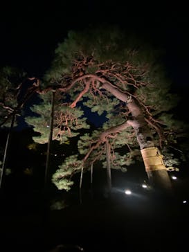 六義園に投稿された画像（2024/12/1）