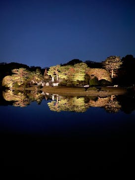 六義園に投稿された画像（2024/12/1）
