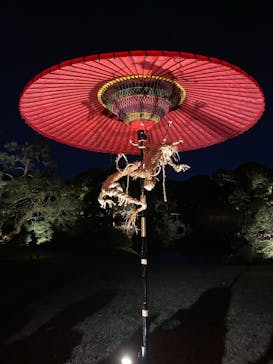 六義園に投稿された画像（2024/12/1）