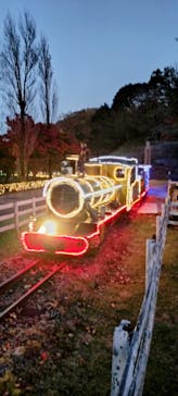 修善寺虹の郷に投稿された画像（2024/12/1）