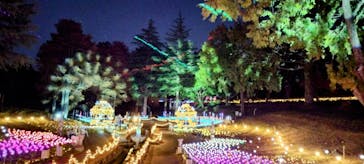 修善寺虹の郷に投稿された画像（2024/12/1）