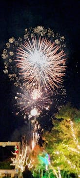 修善寺虹の郷に投稿された画像（2024/12/1）