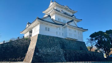 小田原城に投稿された画像（2024/12/1）