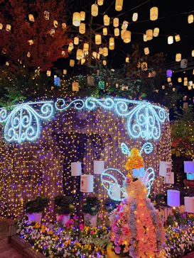 ひらかたパークに投稿された画像（2024/12/1）